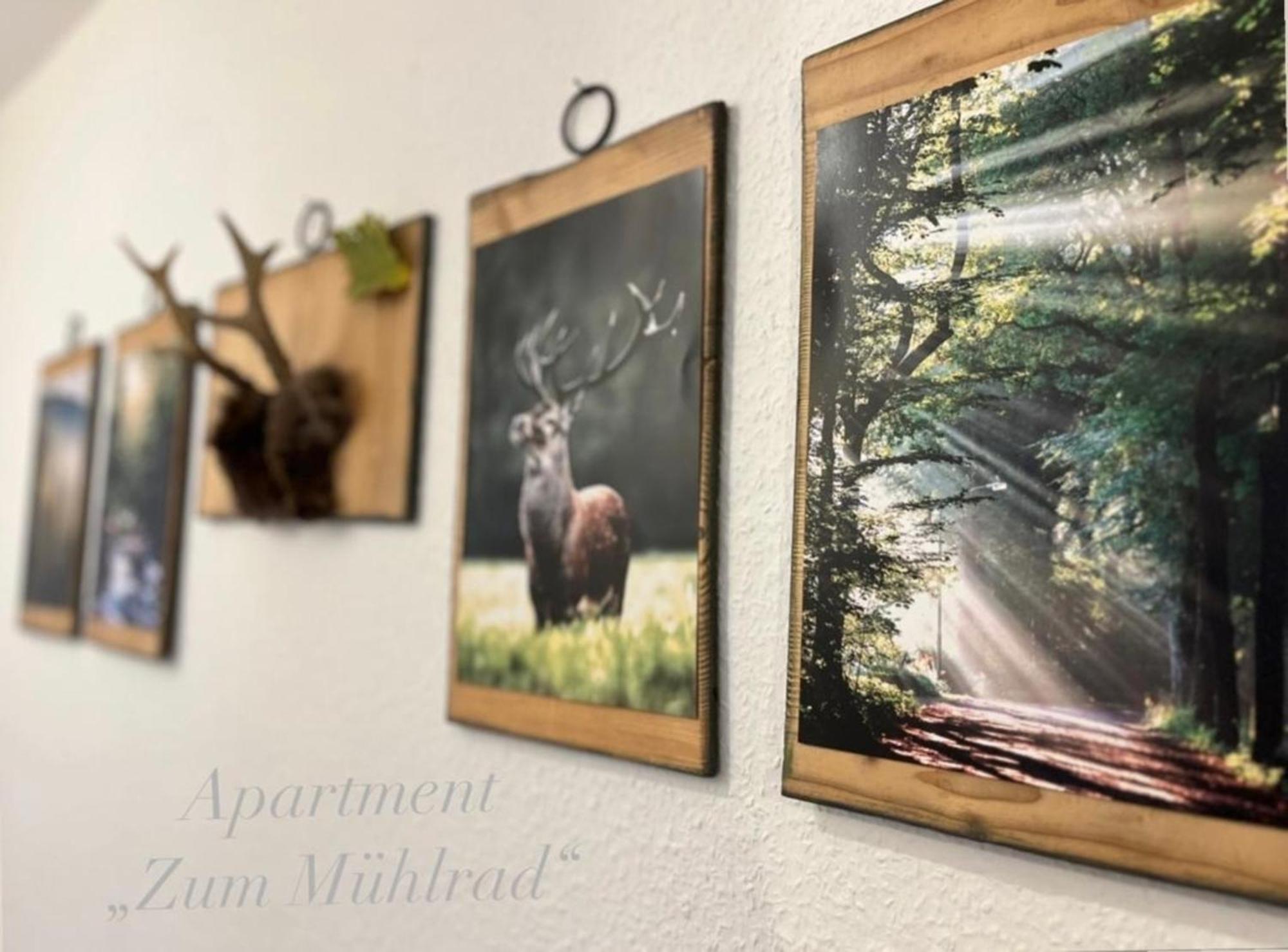 Villa Malzmuehle "Apartment Zum Muehlrad" 韦尼格罗德 外观 照片